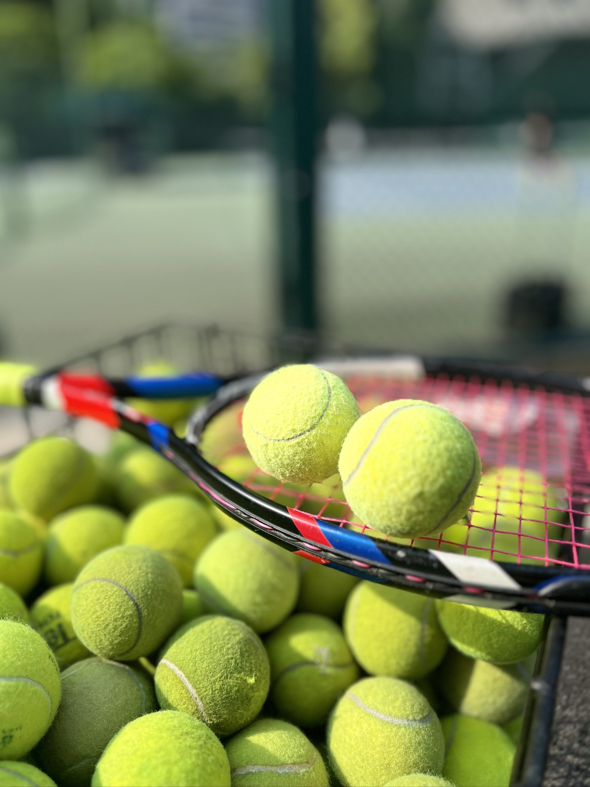 中国台北男 中国台北男