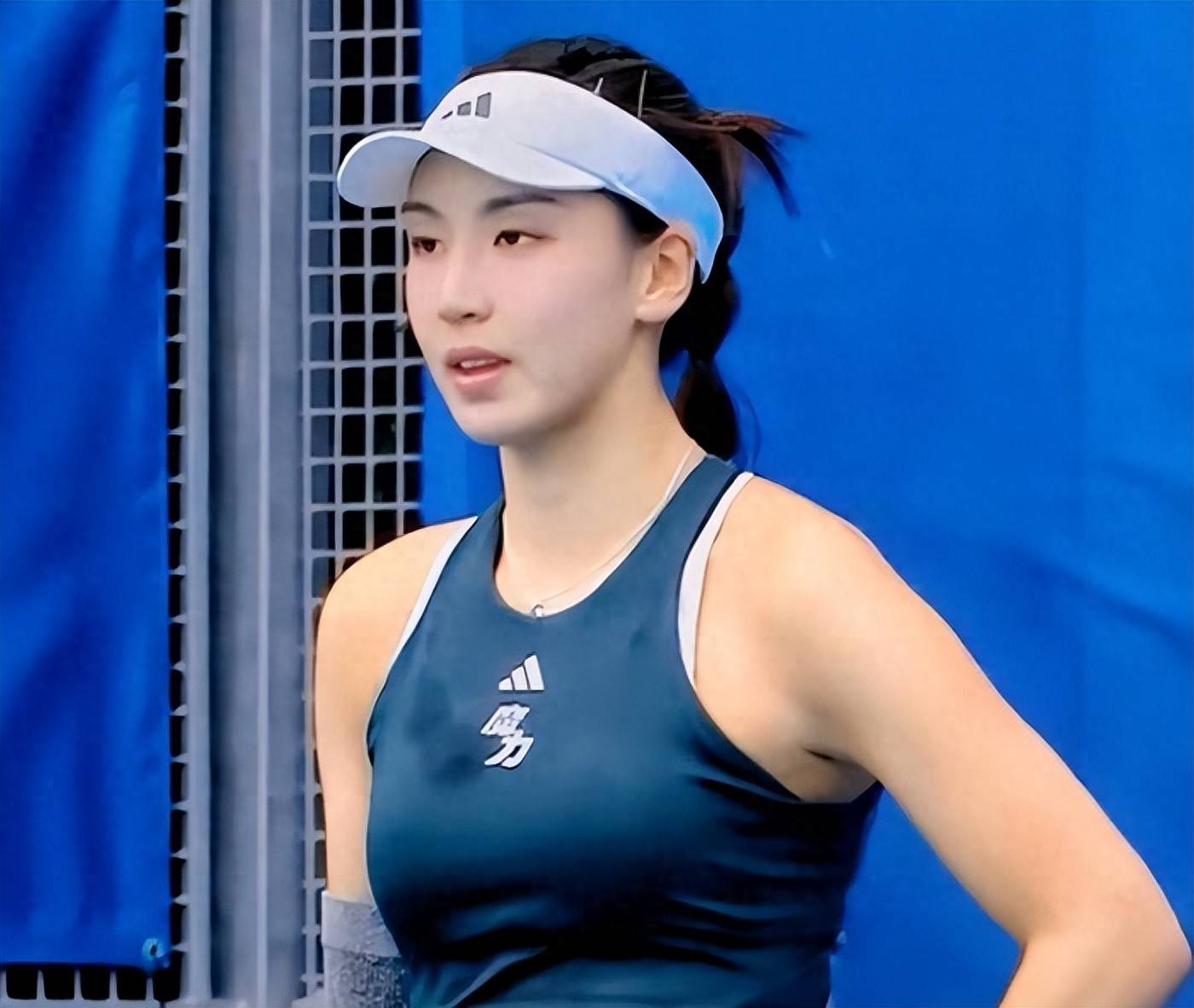 的色彩不仅 的色彩不仅