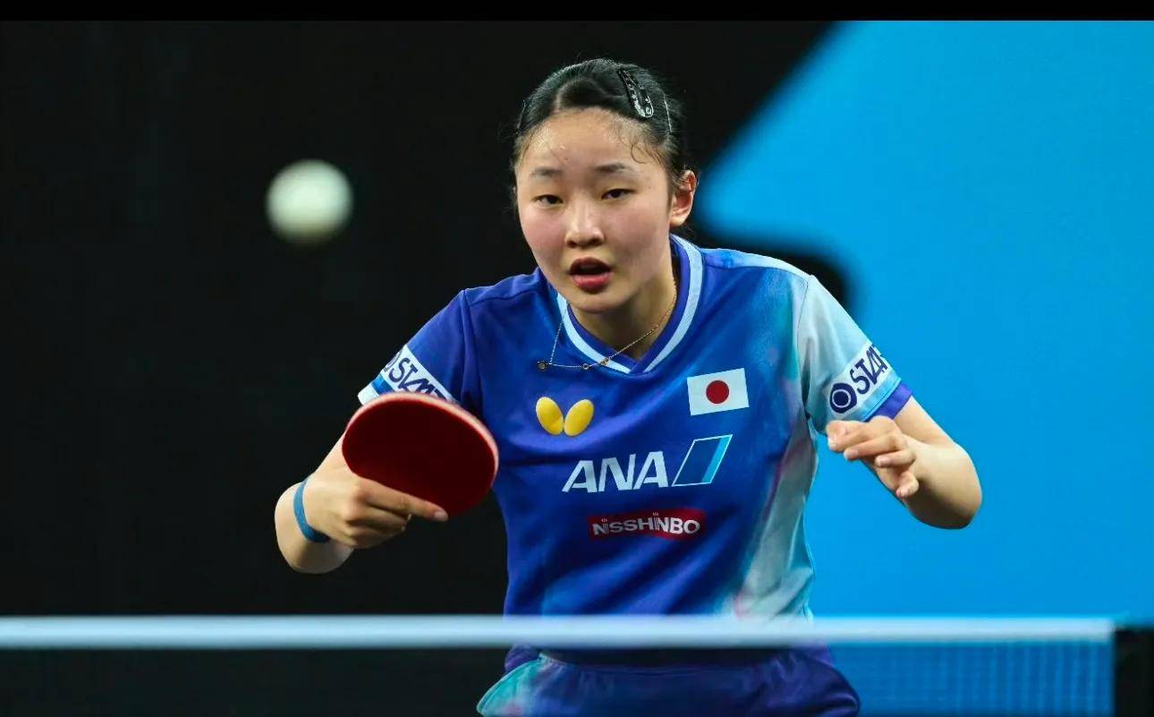 供了重要的 供了重要的